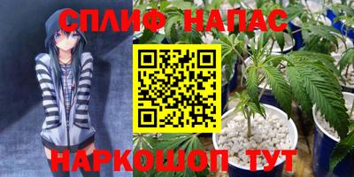 СК Гусев