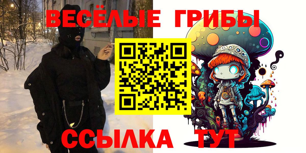 Муравленко  цены   Вход с VPN  Псилоцибиновые грибы Psilocybe 